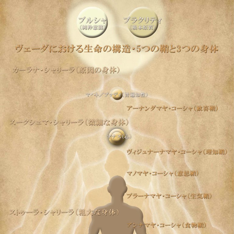 ジョーティッシュ リサーチ インド の伝統思想 ヴェーダ においては 生命の構造を 身体5層論 5層の鞘 で説明しています いわゆる身体5層論では 人体はその本質である 真我 アートマン を包み込む 5層の鞘 によって成り立っているといわれ