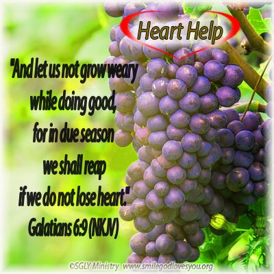 SGLYMinistry's tweet image. Weekly Scripture Memorization: Heart Help–Do Not Lose Heart smilegodlovesyou.org/ScriptMem/2021… #scripturememorization #HeartHelp #Galatians6v9