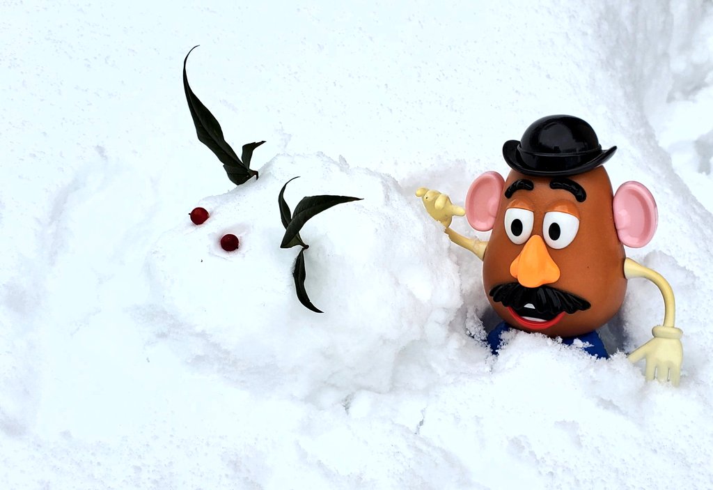 ミスターポテトヘッド