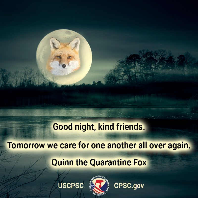 A fox in the moon over a marsh. The text reads: Goodnight kind friends. tomorrow we care for one another all over again - Quinn the quarantine fox.