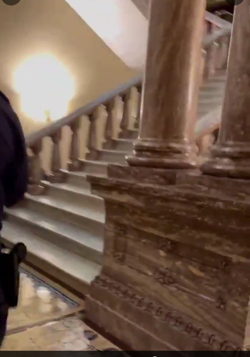 I am fairly sure that this screen grab from the stairs clip answers the question of whether the USCP had sidearms. It doesn't answer why they did not use them (except perhaps once).