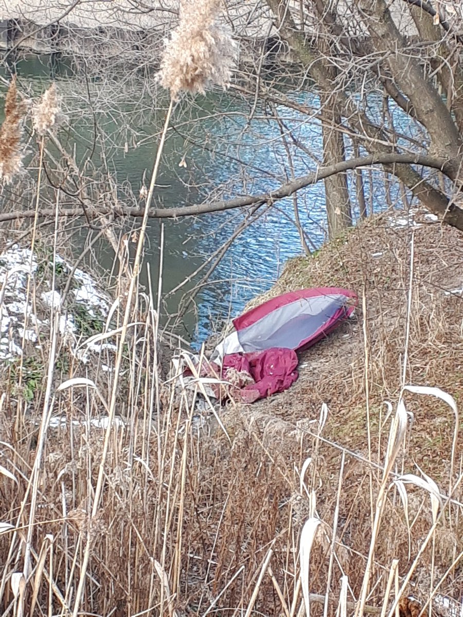 floyd_ruskin's tweet photo. Who keeps cleaning up in the Don Valley?
Don Mess With the Don...that's who.
Will you be joining the next one? Follow us on Facebook for details or join our community group A Park for All.
#loveTOravines #cleanTOtogether
https://t.co/KgnzYPxSem https://t.co/y2fgUd83La