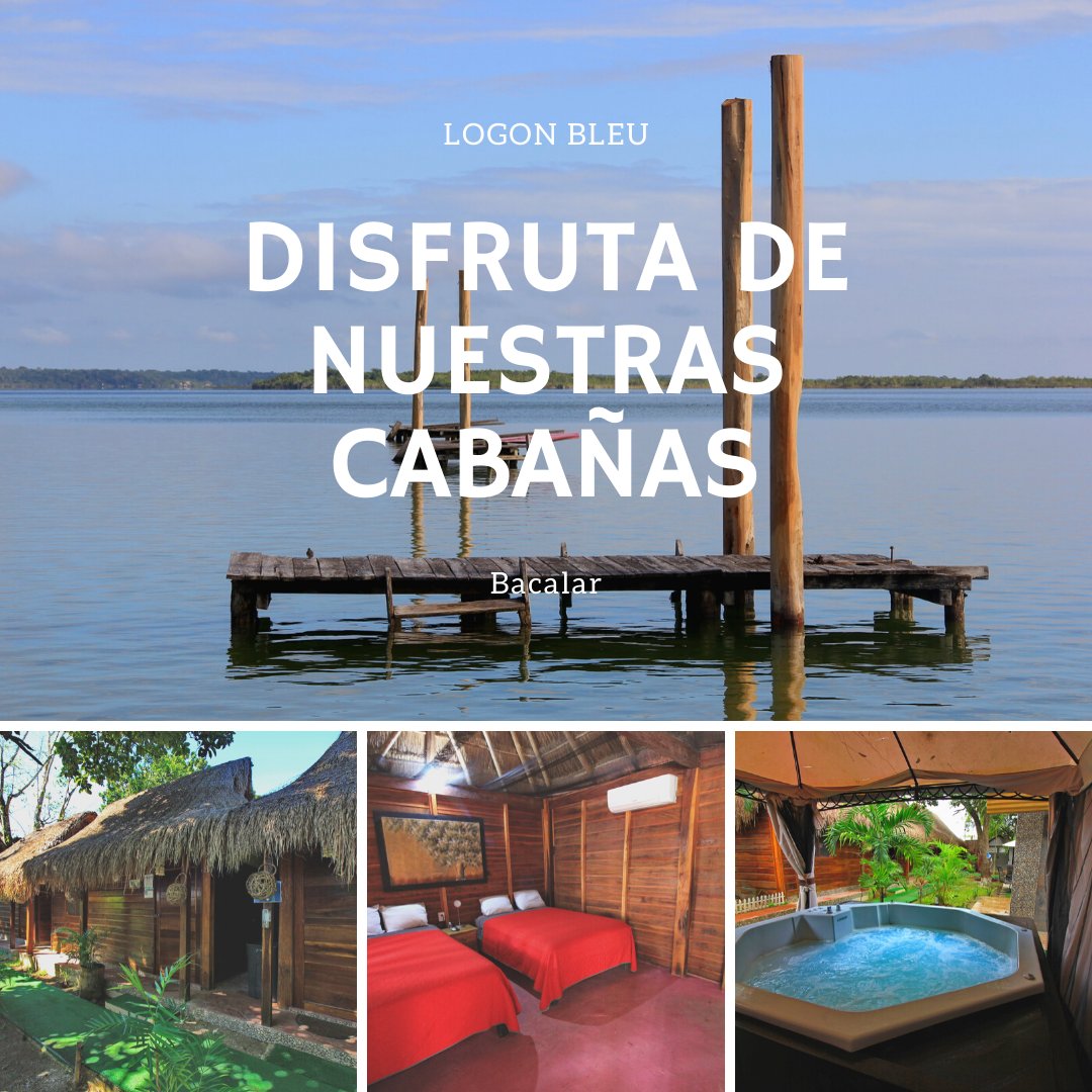 BacalarBleu's tweet photo. Reserva tu cabaña
7841035885
5528619106
#Travel
#VisitMX
#ViajemosTodosPorMexico
#VisitMexico
#Bacalar https://t.co/DfLYPizBjJ