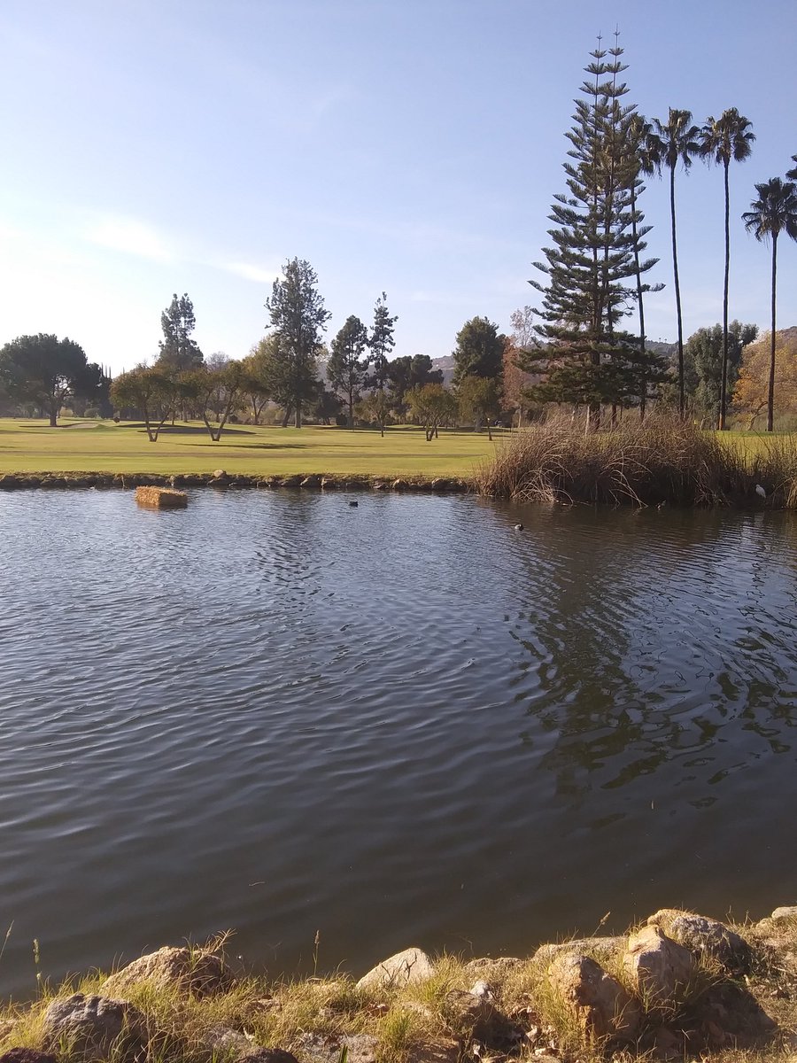 Fidomingle's tweet image. #Beautifulweekends ❤🌞🌴#FidomingletheApp #BestApps #petapps #dogs #cats #social #sharing #caring #families #recordkeeping #petrecords #reminders #friends #pets #family #medicalrecords #travel #petlover