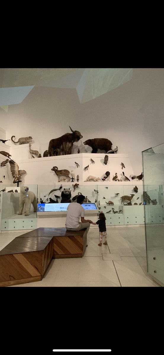 They don’t move as much as the ones at <a href="/MelbourneZoo/">Melbourne Zoo</a> but they are just as fun <a href="/melbournemuseum/">Melbourne Museum</a>