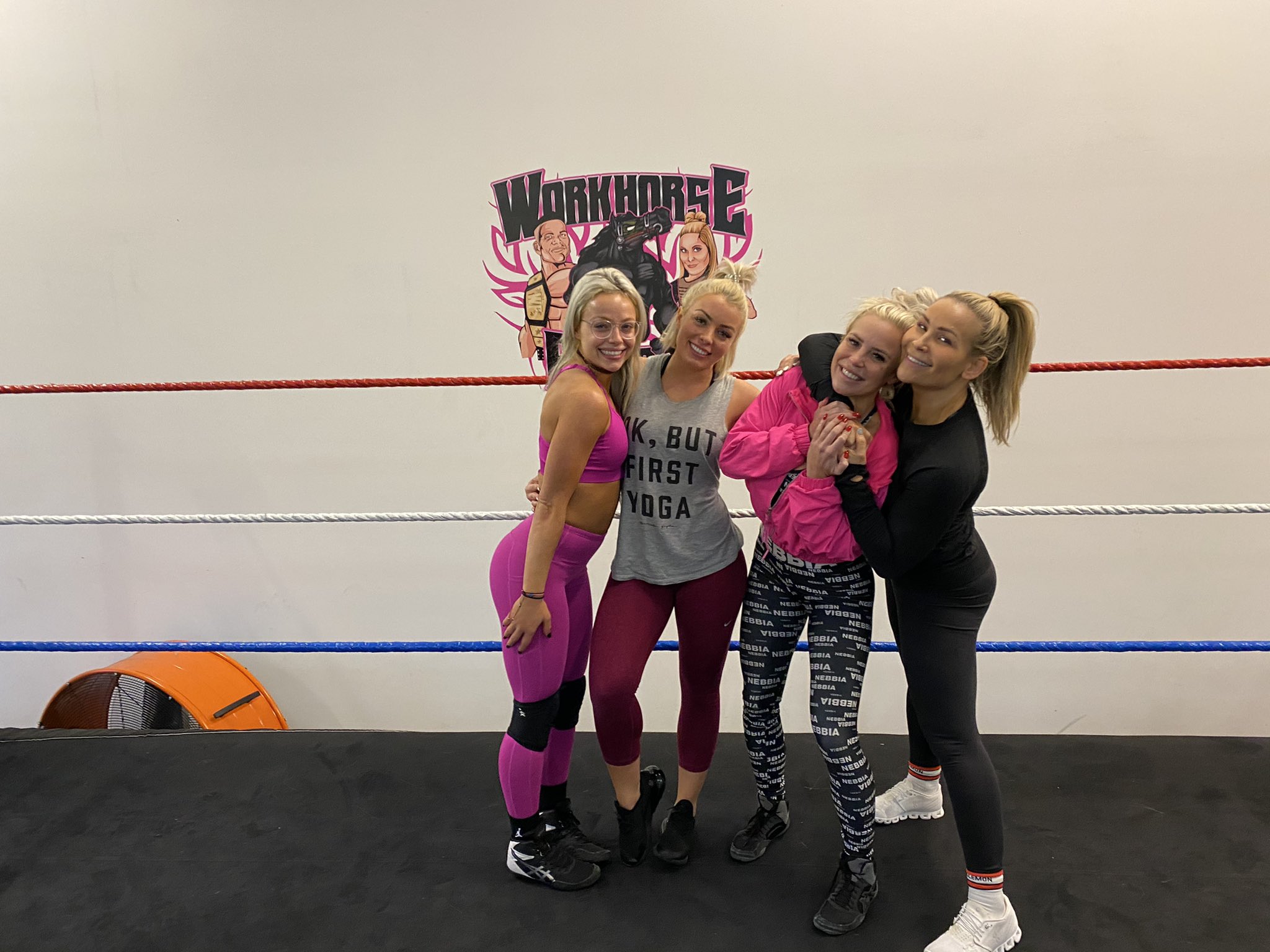 Mandy Rose posted a photo after training with Natalya. (Image Credits: @WWE_MandyRose on Twitter)