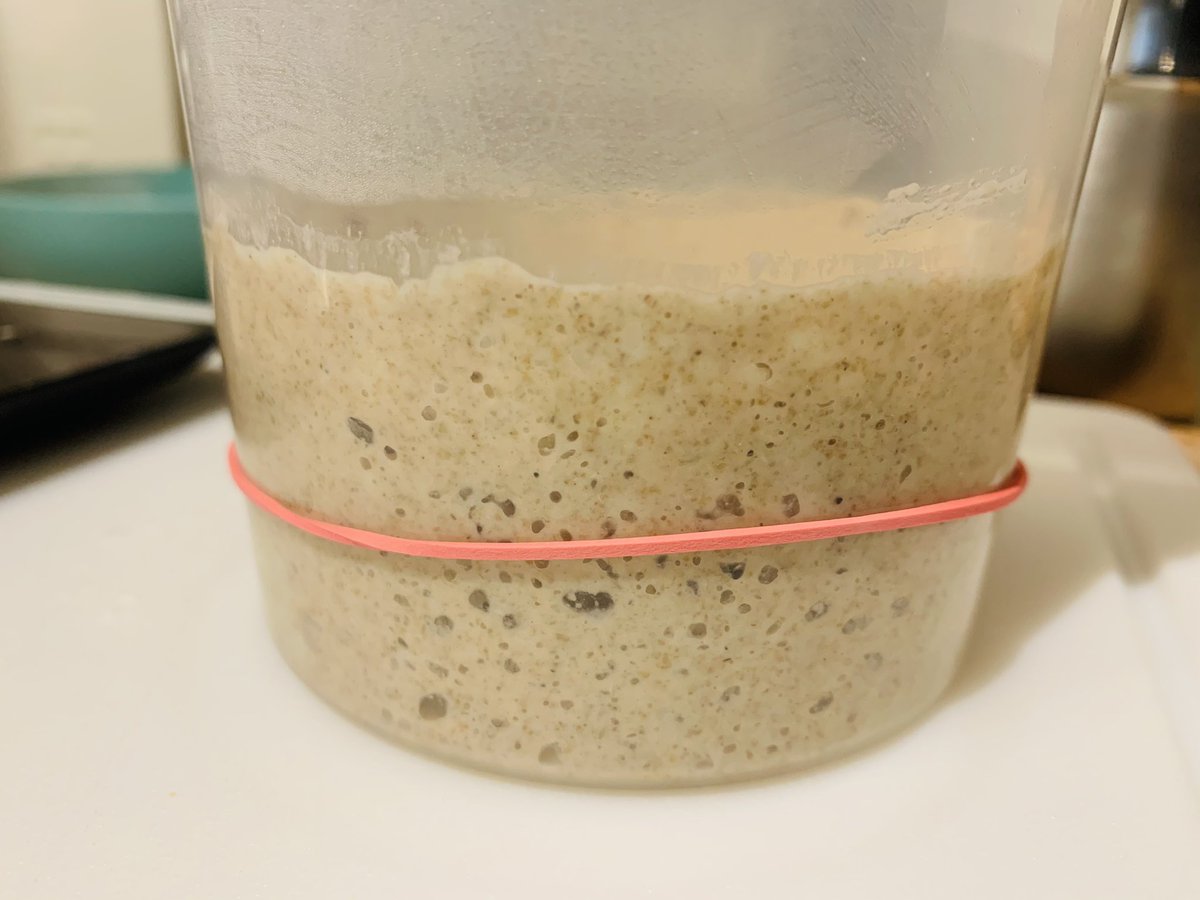 grainflow's tweet image. A pinch of brown sugar is a great way to revive a starter that was resting in a fridge.