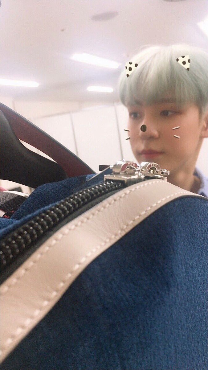 starlightjongho's tweet photo. would anyone like to cry with me 😭 https://t.co/xNxs50Vvre