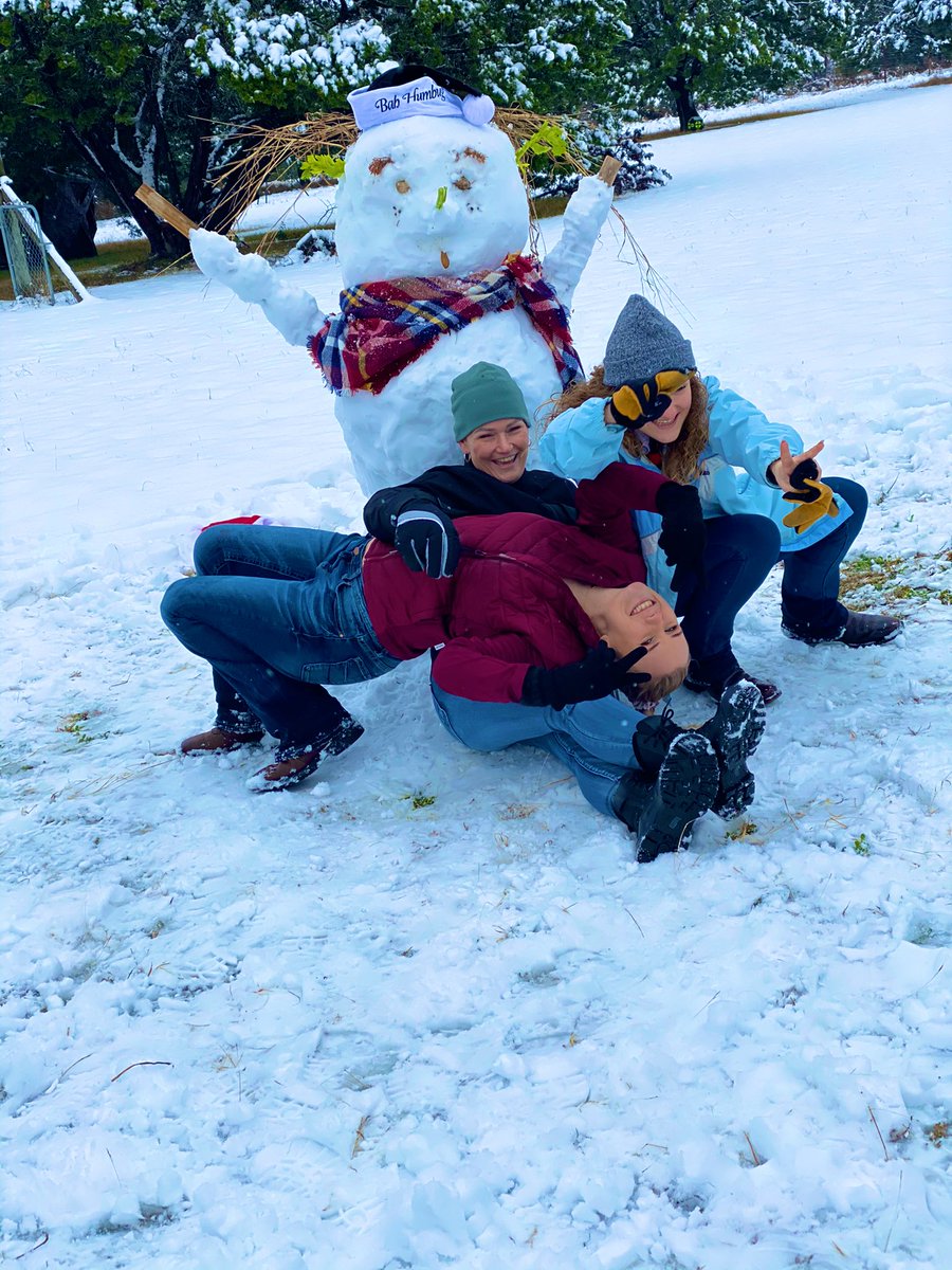 turtle797's tweet image. Texas snow day ❄️☃️