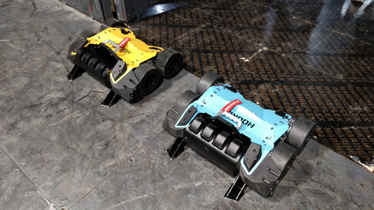 Ellis Ware tweet media