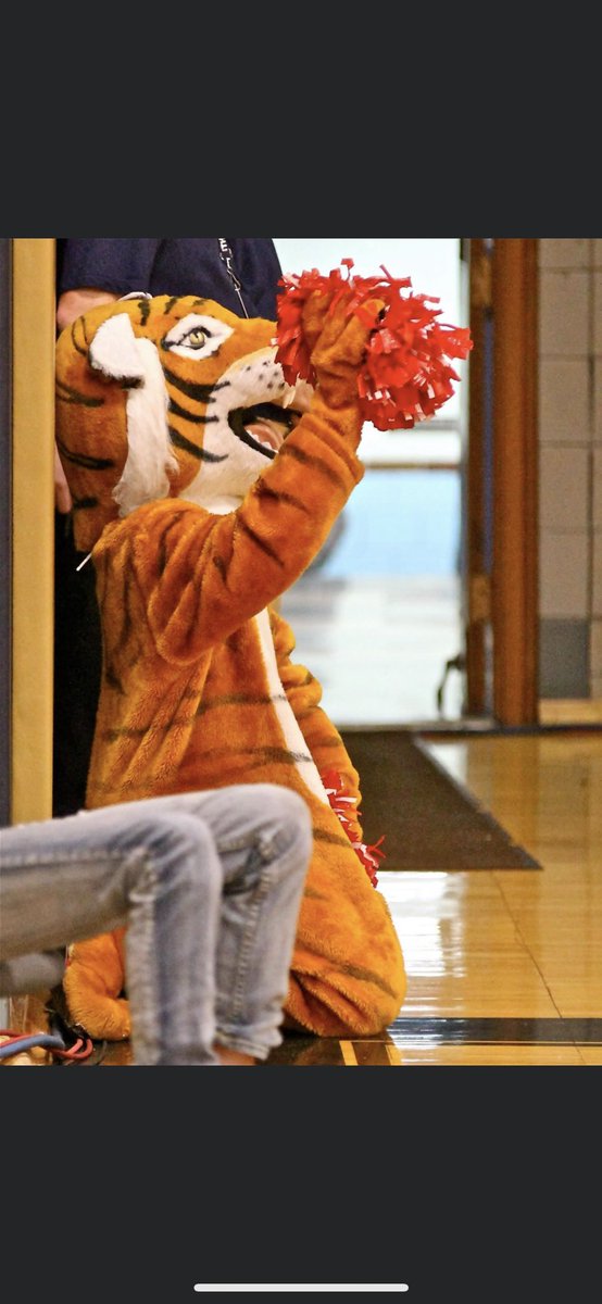 Megan: “tigers are my favorite”

Nathan: *sends photos as high school mascot*

Megan: *blocks me*