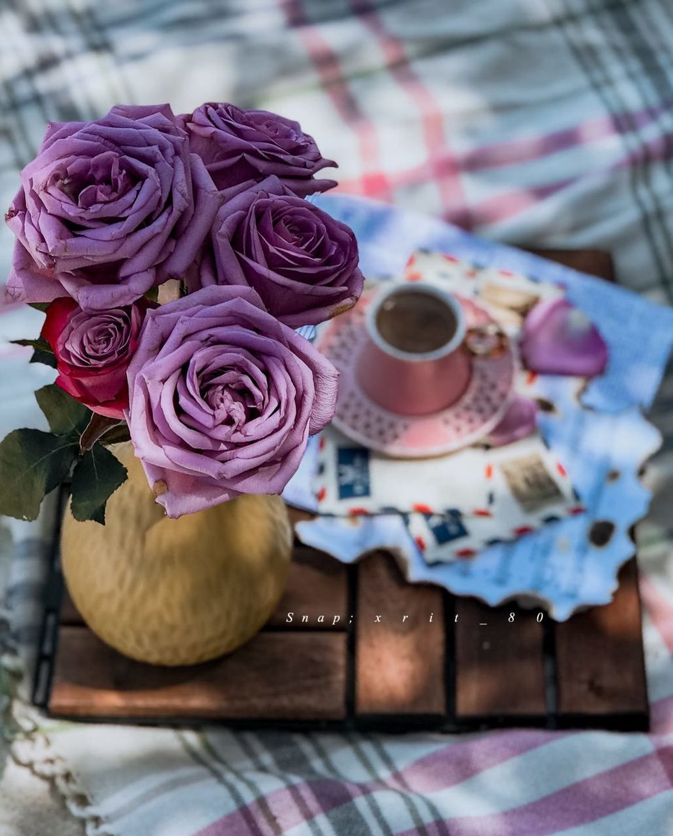 هدوئي ميزتي💫 tweet media