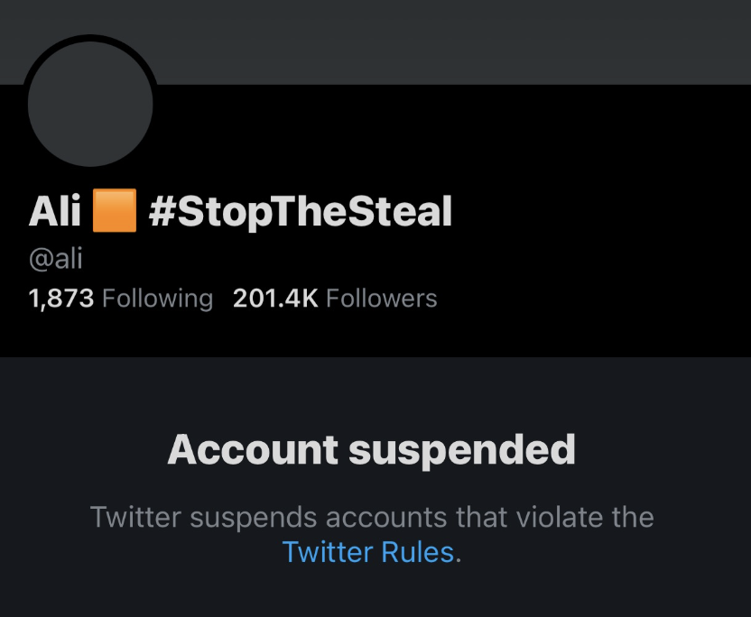 1. Ali Alexander, who is the leader of "Stop The Steal" and one of the organizers of the insurrection, has had his Twitter account permanently suspended. Alexander said yesterday that his PayPal and Venmo accounts were shut down as well.