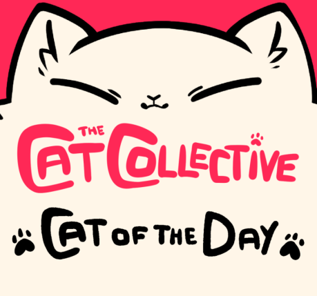The Cat Collective tweet media