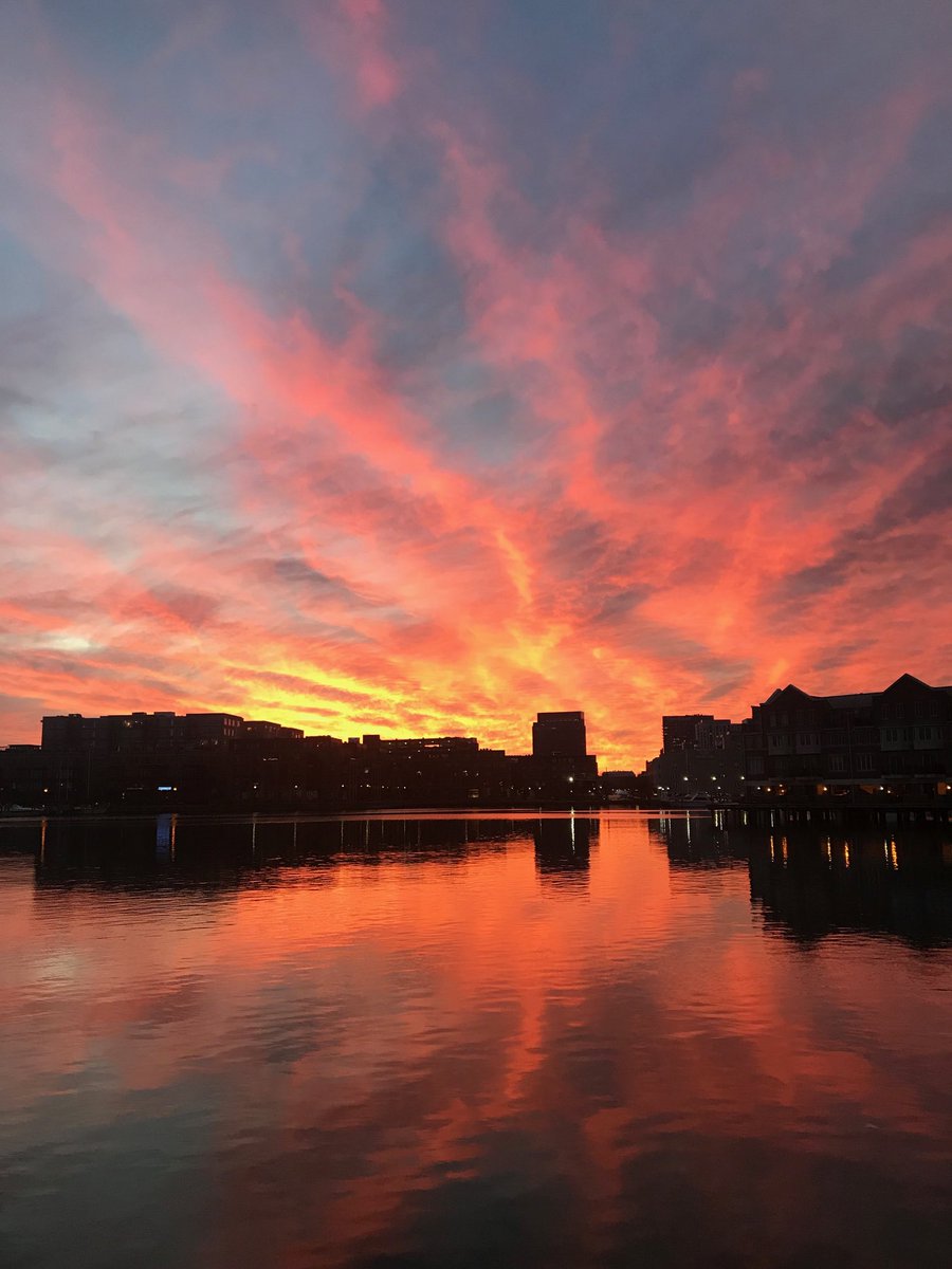 BirdsofBaltimo1's tweet image. No birds just beautiful Baltimore