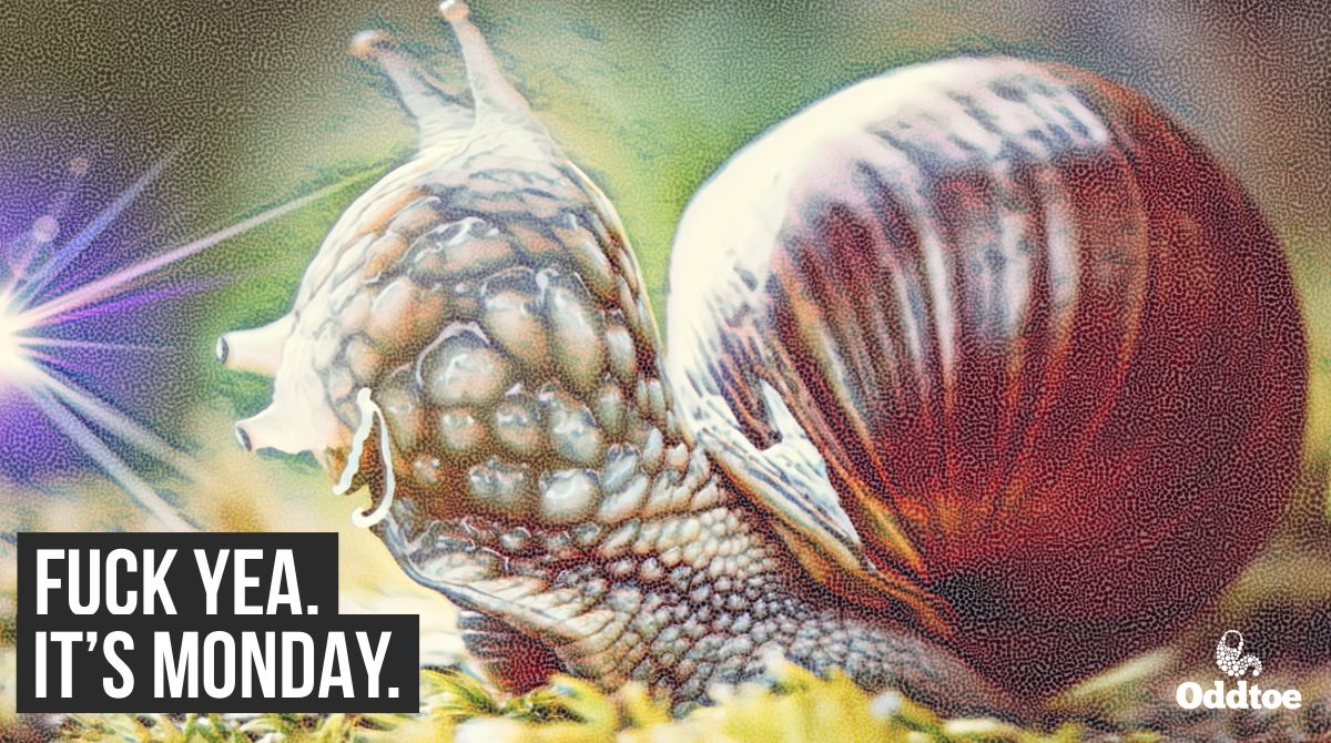 Oddtoe's tweet photo. I give you unbridled optimism.

I’m this snail on ecstasy when Monday comes around, crawling dopey towards the light.

Happy Monday and New Year to y’all.

#mondays #mondaymotivation #mondaymorning #mondaymemes #oddtoe #snailsofinstagram #snails #snailshell #startoftheweek https://t.co/dmfHJZJ5BI