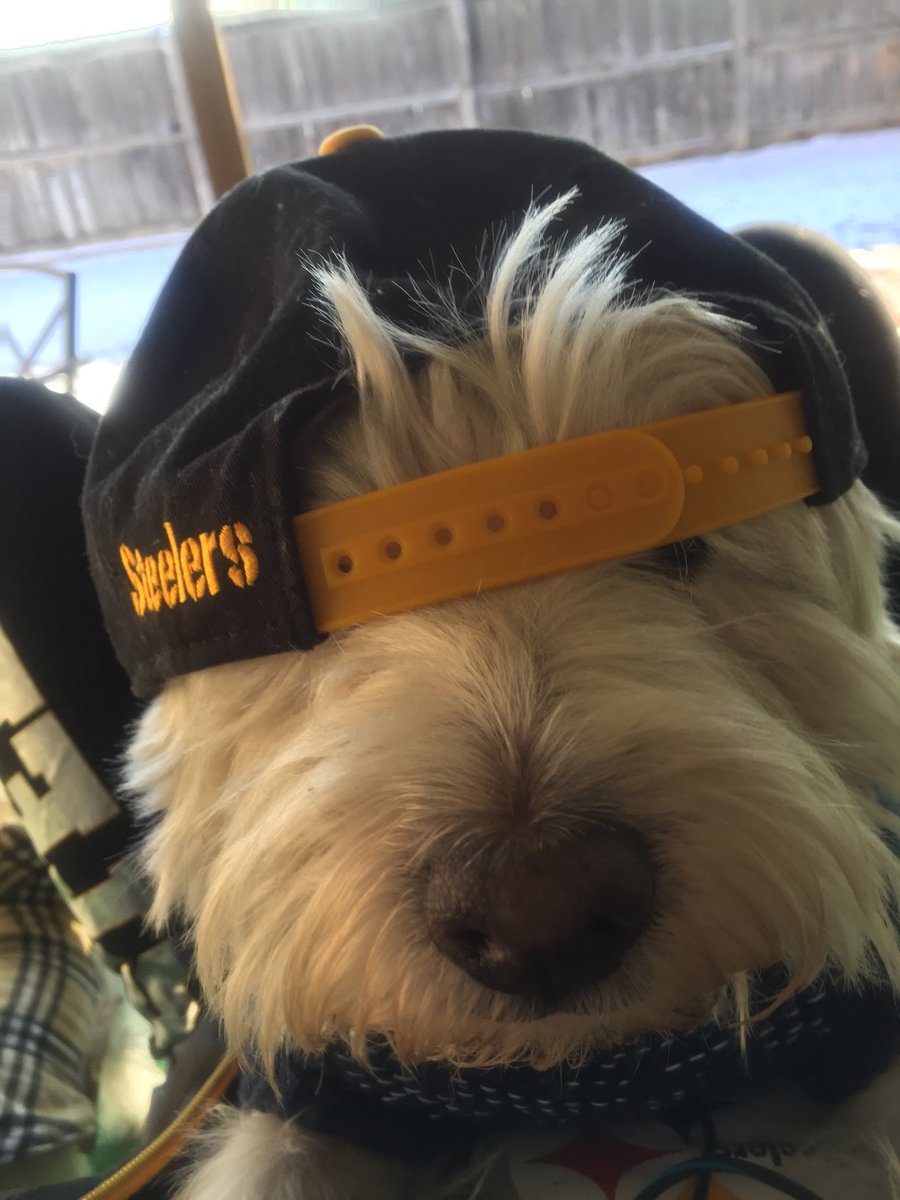 MsFightLady's tweet image. ⁦@steelers⁩ Let’s Go🏈🏈🏈