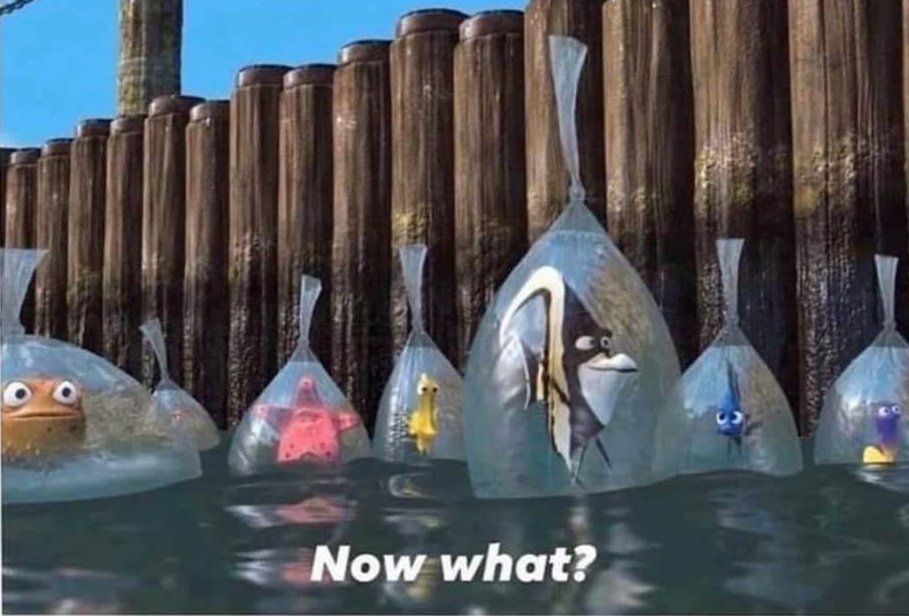 Real Political News tweet media