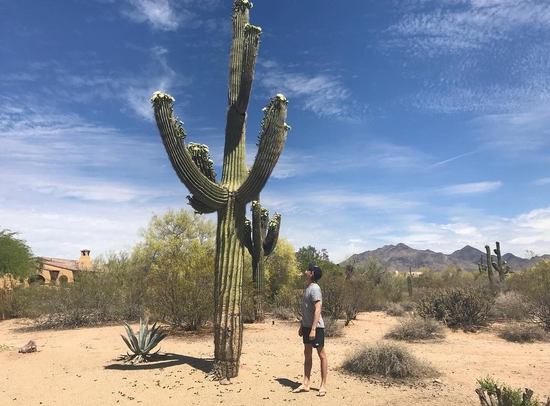 Joe Alwyn as Taylor Swift, a thread: