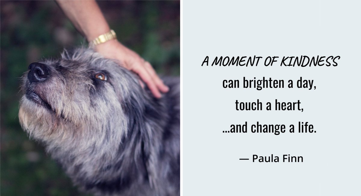 PaulaFinnquotes's tweet photo. A moment of kindness
can brighten a day,
touch a heart,
…and change a life.
~ Paula Finn
@QuoteILoveU
#inspirationalquotes #kindness #heart #brightenuptheworld #moments https://t.co/37ybvjNhUs