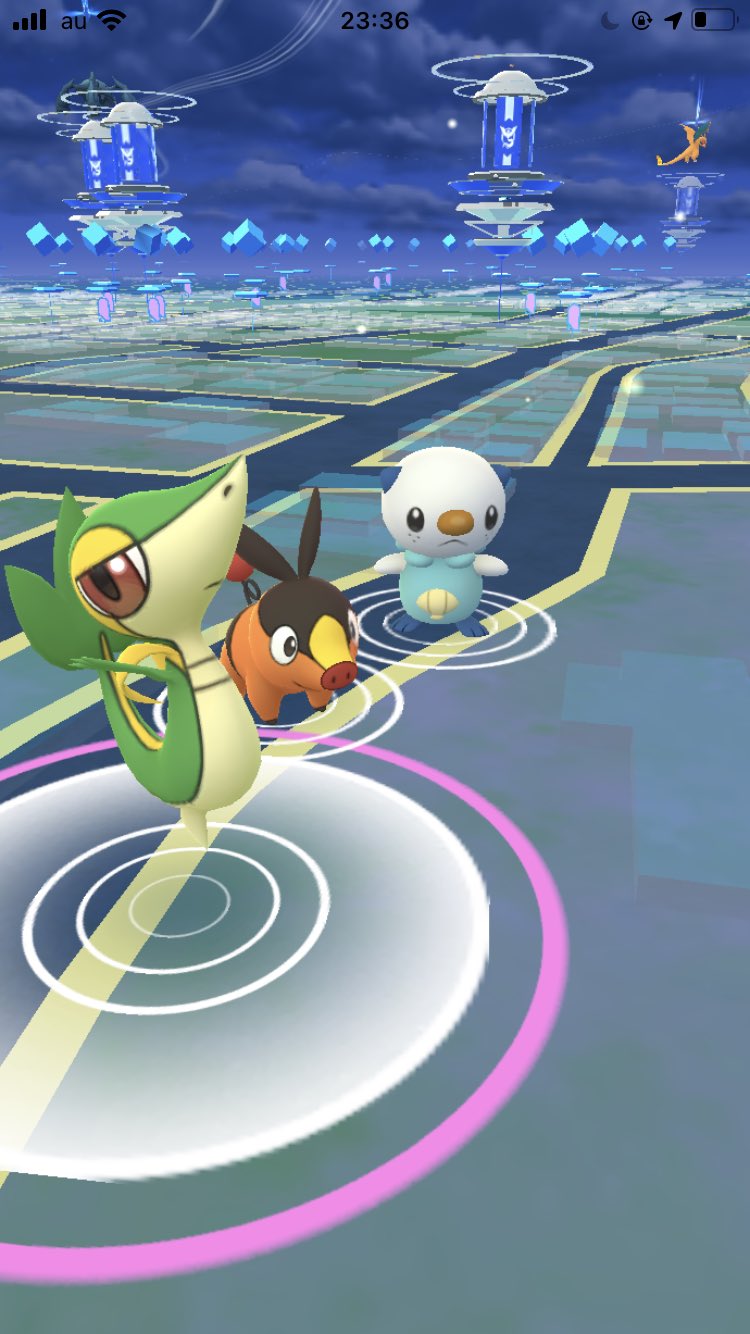 Kenken No Twitter 御三家 イッシュ地方 イッシュセレブレーション ポケモンgo 御三家 ツタージャ ミジュマル ポカブ Pokemongo ポケモン ポケモンbw T Co Zdhhp9vhkr Twitter
