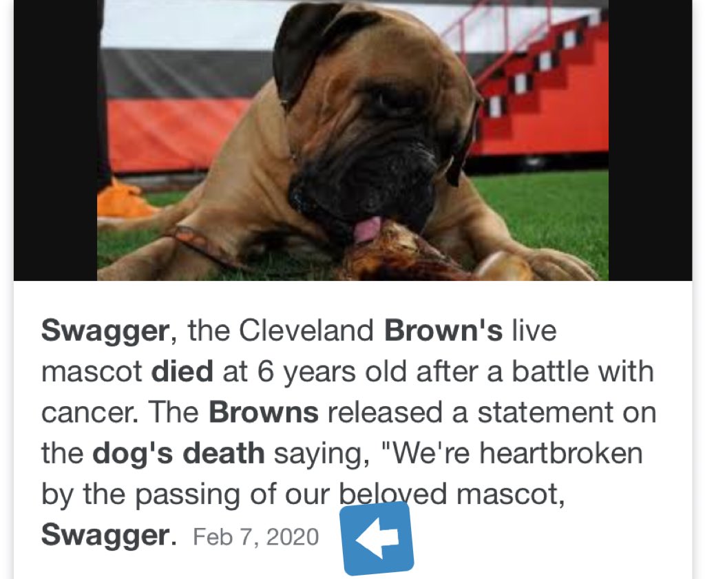 PFTCommenter's tweet photo. Do it for Swagger, Browns. Team of destny https://t.co/tXLptaYZqB