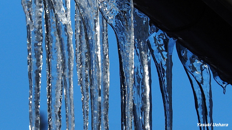 つらら Hotワード