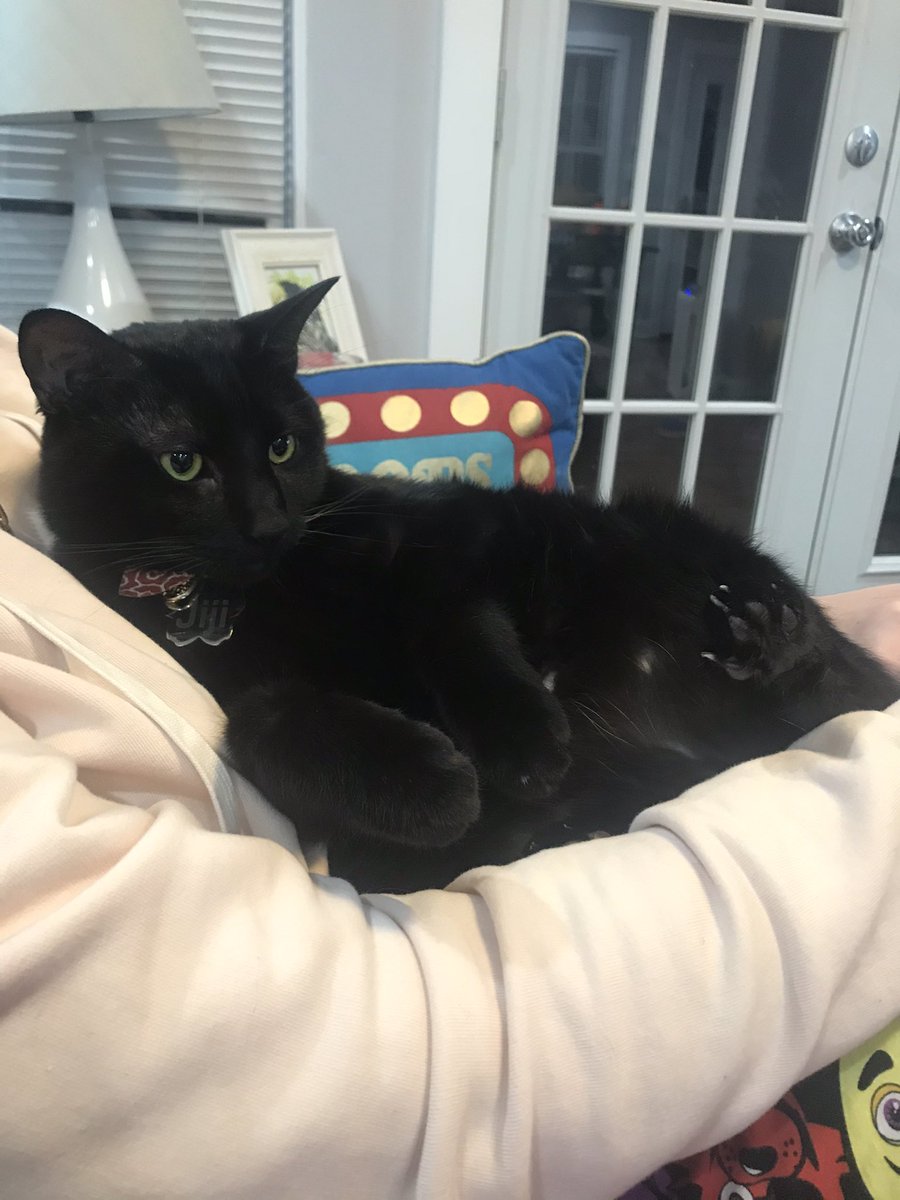 jobeansjo's tweet photo. Mind Full Of Rage And Hatred. I Will Never Forgive You, Says I, JiJi. https://t.co/fUOR3VHN2v