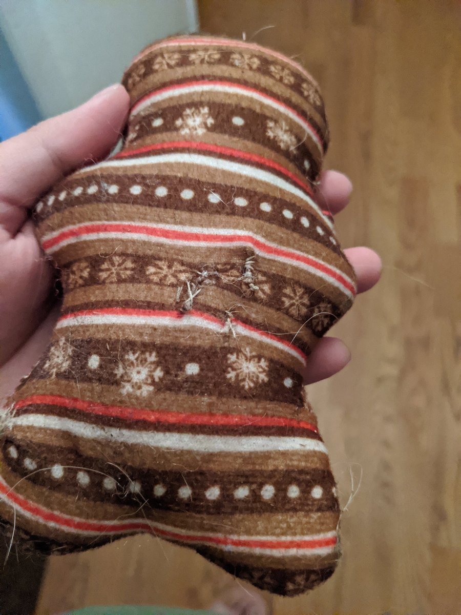 itskarla____'s tweet photo. My sister taught me how to sew today so we spent the day fixing the doggies favorite toys!! https://t.co/2iwtUHTUSW