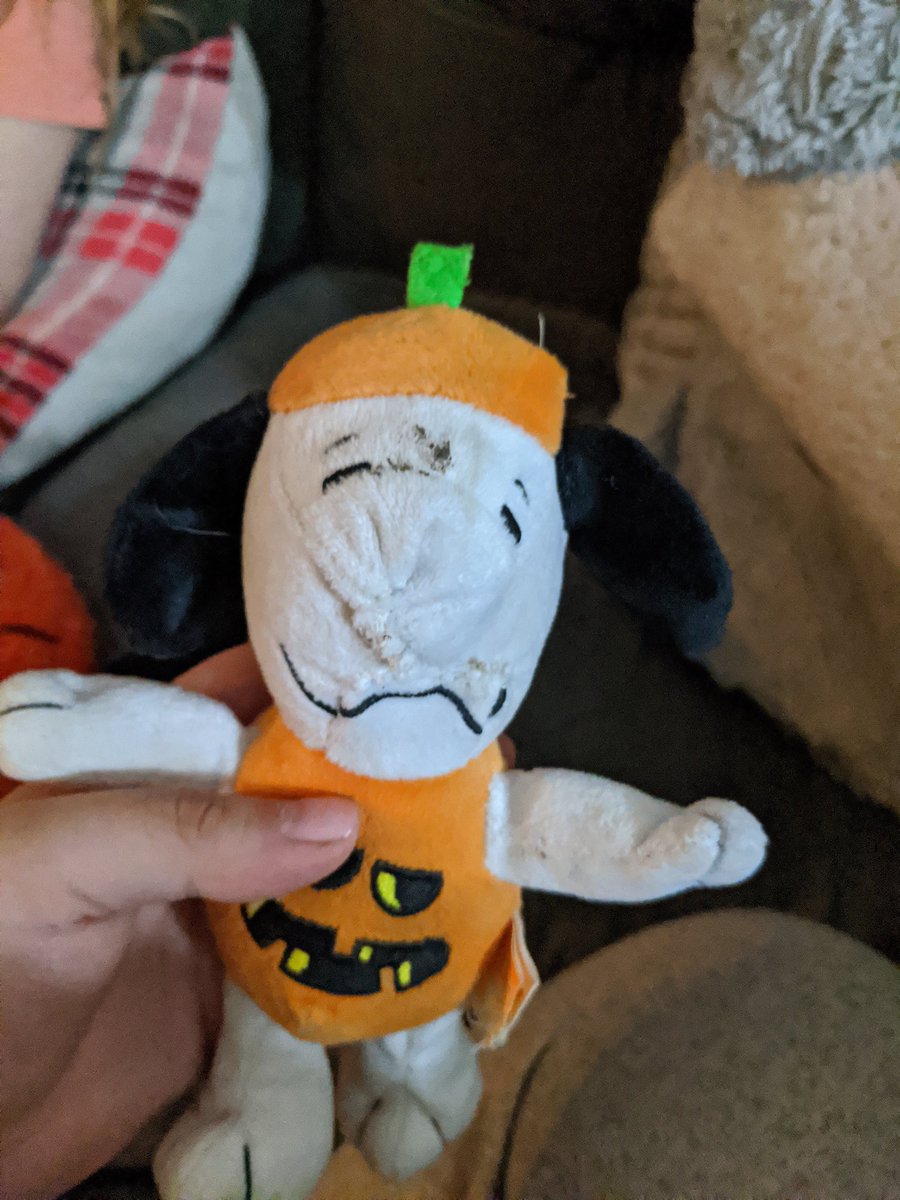 itskarla____'s tweet photo. My sister taught me how to sew today so we spent the day fixing the doggies favorite toys!! https://t.co/2iwtUHTUSW