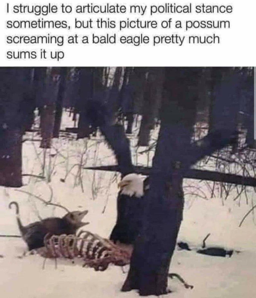 Colelake2's tweet photo. Stay feral my friends https://t.co/bSxRDn2WX8
