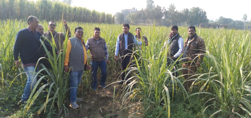 Gro . Dayasankar Yadav village Garopur center parkauliya