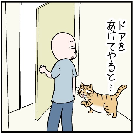 たまにこうなる我が家のミュウくんw
#にゃんこ #まんが #マンガ #4コマ漫画 #四コマ漫画 #猫 #ねこ部 #ねこ #猫あるある #猫漫画 #ペット #飼い主 #ねこらぶ #エッセイ漫画 #みんねこ #キャット #ねこのいる生活 #猫ばか #にゃんだふるらいふ 