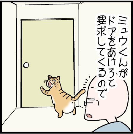 たまにこうなる我が家のミュウくんw
#にゃんこ #まんが #マンガ #4コマ漫画 #四コマ漫画 #猫 #ねこ部 #ねこ #猫あるある #猫漫画 #ペット #飼い主 #ねこらぶ #エッセイ漫画 #みんねこ #キャット #ねこのいる生活 #猫ばか #にゃんだふるらいふ 