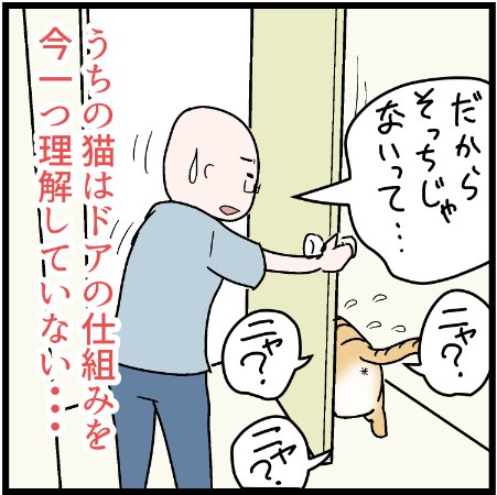 たまにこうなる我が家のミュウくんw
#にゃんこ #まんが #マンガ #4コマ漫画 #四コマ漫画 #猫 #ねこ部 #ねこ #猫あるある #猫漫画 #ペット #飼い主 #ねこらぶ #エッセイ漫画 #みんねこ #キャット #ねこのいる生活 #猫ばか #にゃんだふるらいふ 