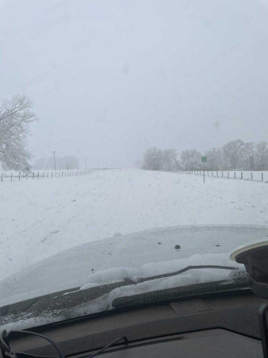 SRRBrangus's tweet photo. Winter Wonderland! https://t.co/b20EHfYekd