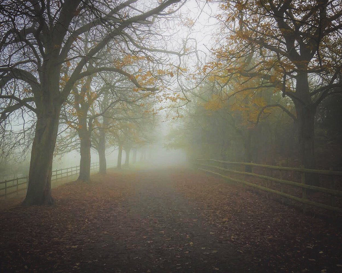 OutdoorReed's tweet photo. Early morning winter mist walk
#foggymorning #soft_vision #winterfog
#mistanddew #darenthcountrypark
#moody_nature #mood_magic #moody #atmospheric
#fiftyshades_of_nature #fog #foggy #mist #dew #nature #mist_bestshots #foggywoods #eerie #eeriewalk #bleakday
#lovetowalk https://t.co/cjoOPFx3bL