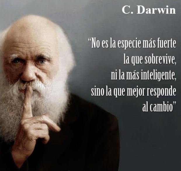 CeliaHil's tweet photo. "No es la especie más fuerte la que sobrevive sino la que se adapta mejor al cambio" 😉 #Darwin  
#BuenosDías #BonDia #GoodMorning  

#Cambio #Canvi #Change #Frases #Citas #Frase #Cita https://t.co/ZySravFeVE