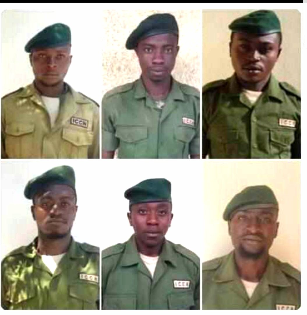 SaveVirunga tweet picture