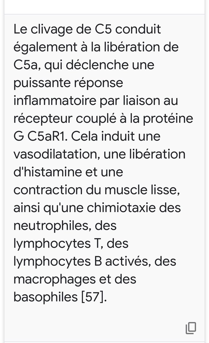 Autre lecture pour la compréhension: https://www.preprints.org/manuscript/202101.0151/v1/download