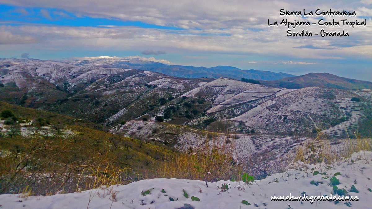 AlsurdegranadaA's tweet photo. Nevada Al sur de Granada 2021. Paisajes nevados de la sierra La #Contraviesa #AlsurdeGranada. #Alpujarra #CostaTropical #Sorvilán #Granada. #Nieve #montaña y #mar https://t.co/0RAH1A0esW