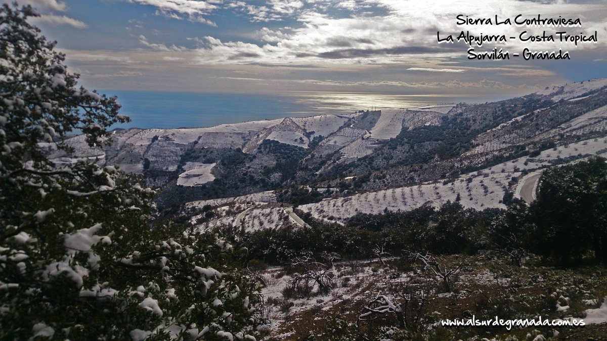 AlsurdegranadaA's tweet photo. Nevada Al sur de Granada 2021. Paisajes nevados de la sierra La #Contraviesa #AlsurdeGranada. #Alpujarra #CostaTropical #Sorvilán #Granada. #Nieve #montaña y #mar https://t.co/0RAH1A0esW