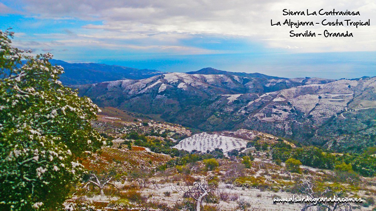 AlsurdegranadaA's tweet photo. Nevada Al sur de Granada 2021. Paisajes nevados de la sierra La #Contraviesa #AlsurdeGranada. #Alpujarra #CostaTropical #Sorvilán #Granada. #Nieve #montaña y #mar https://t.co/0RAH1A0esW