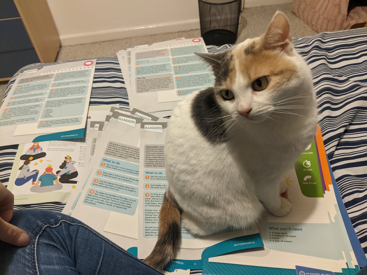 Delighted to be reopening our Ranger group in lockdown! Here's our new assistant 'helping' work out which activities we can get started with on zoom! @GrowingGuiding <a href="/guidingcornwall/">Girlguiding Cornwall</a> <a href="/GirlguidingSWE/">Girlguiding SWE</a> @girlguiding <a href="/GuidingMembers/">Girlguiding For Members</a>