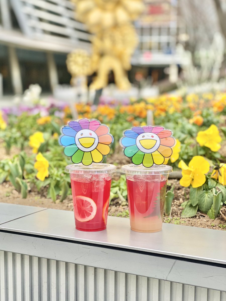 Hillscafespace's tweet photo. 【テイクアウトOK】お花カフェでは、
お花ドリンクのみテイクアウトを承っております。週替わりメニューをはじめ、通常ドリンクもご提供しておりますのでお気軽にご利用ください☺︎ https://t.co/aYhHr5ypzB