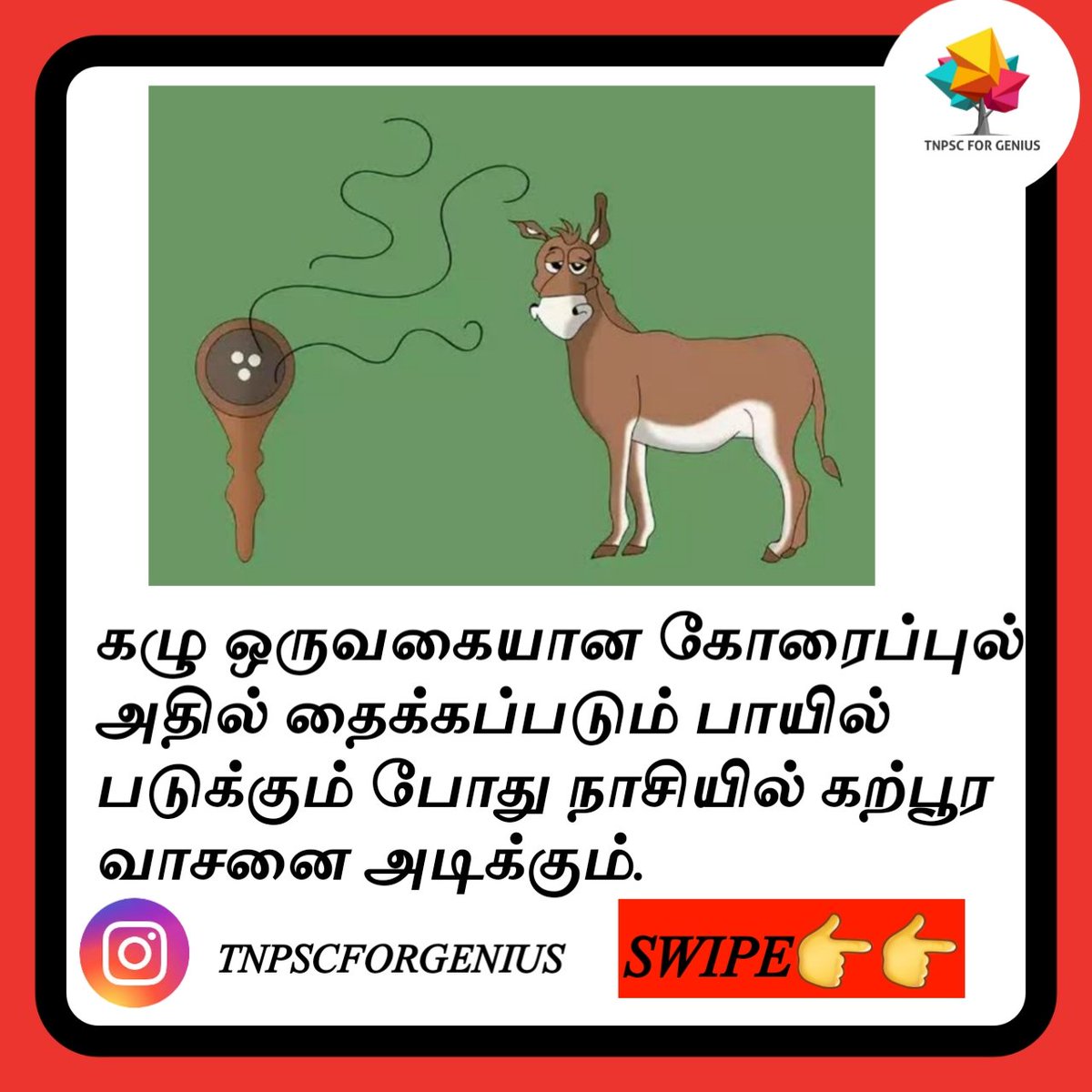 tnpscforgenius's tweet photo. #tamil #government #proverb #proverbs #tamilan #tamilnadu #news #facts #riddle #challenge #INDvAUS #onlybreath #tnpsc #upsc #upscaspirant #upscexam #happy #MondayMotivation #master #Vijay #Twitter #teaser #trailer #movie #MasterMovie #mastertickets #MasterTrailer #MasterTeaser https://t.co/AOEwYG9SRC