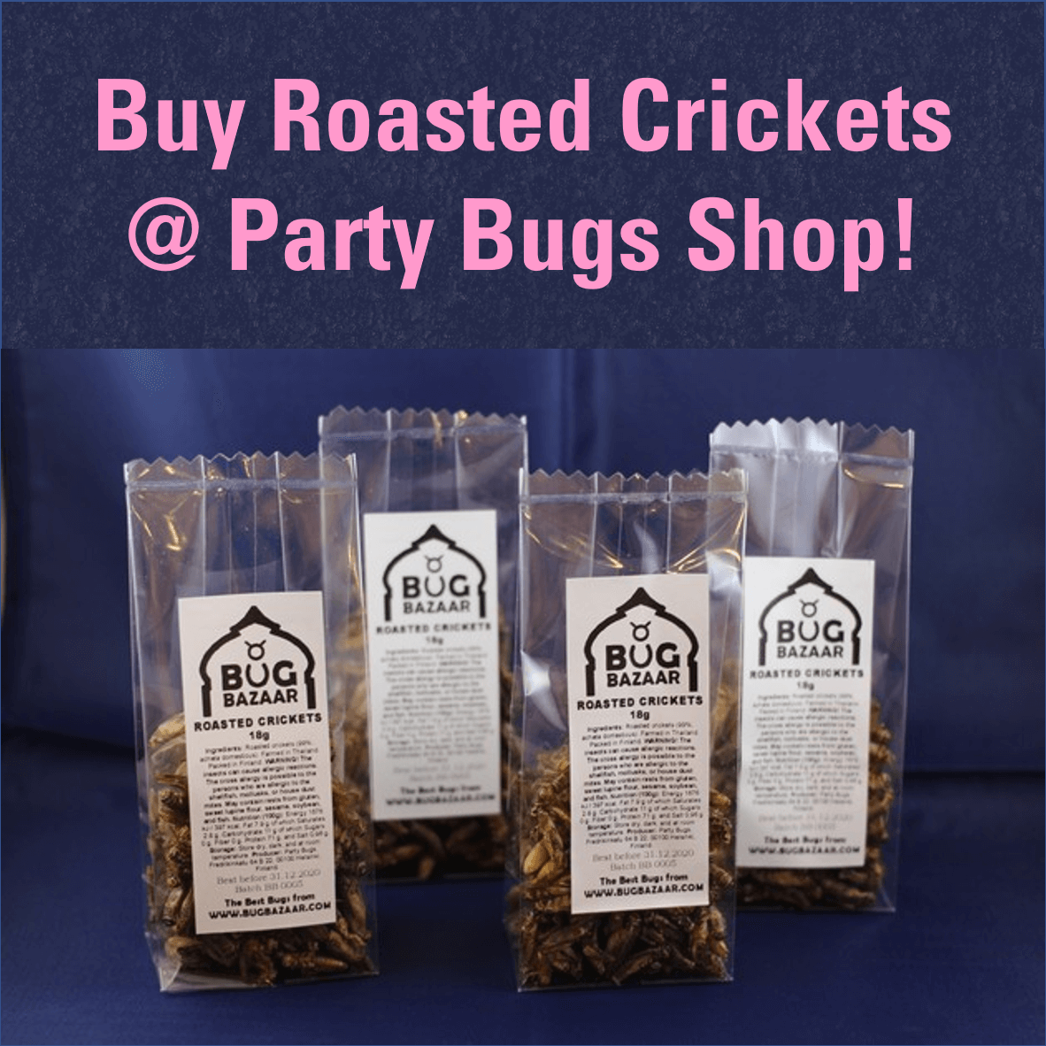 Buy pure roasted crickets at Party Bugs Shop!

#eatingbugs #eatinginsects #eatinsects #edibleinsects #entomophagy #entomofagia #insektenessen #insektensnack #insectsnack #insectescomestibles #mangerdesinsectes #partybugs #partybugssnacks #partysnacks #snackinsects