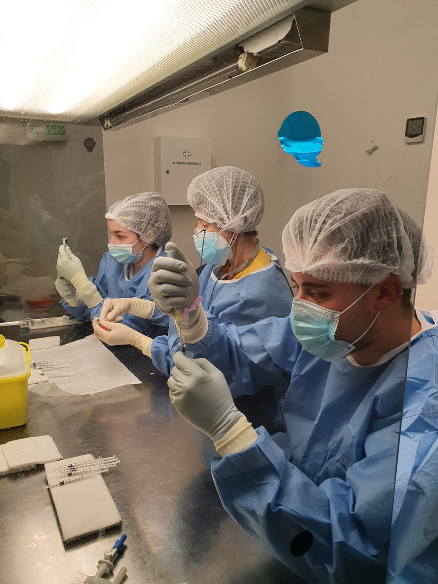 📍Llegó este GRAN MOMENTO. 📍 Nuestro equipo de enfermería y farmas preparando las dosis de la #vacunaCOVID 💉
Orgullosos del esfuerzo en estas circunstancias tan excepcionales ❄️⛄ de todos los miembros del S°Farmacia y de todos aquellos que conforman Getafe. #yomevacuno <a href="/sefh_/">S.E.F.H</a>