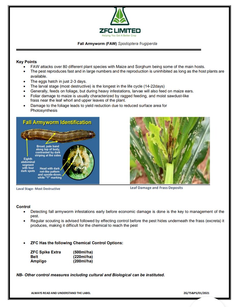 Fall Armyworm (FAW) Alert!!!
#HelpingYouGetaBetterCrop
#2021FarmingSeason