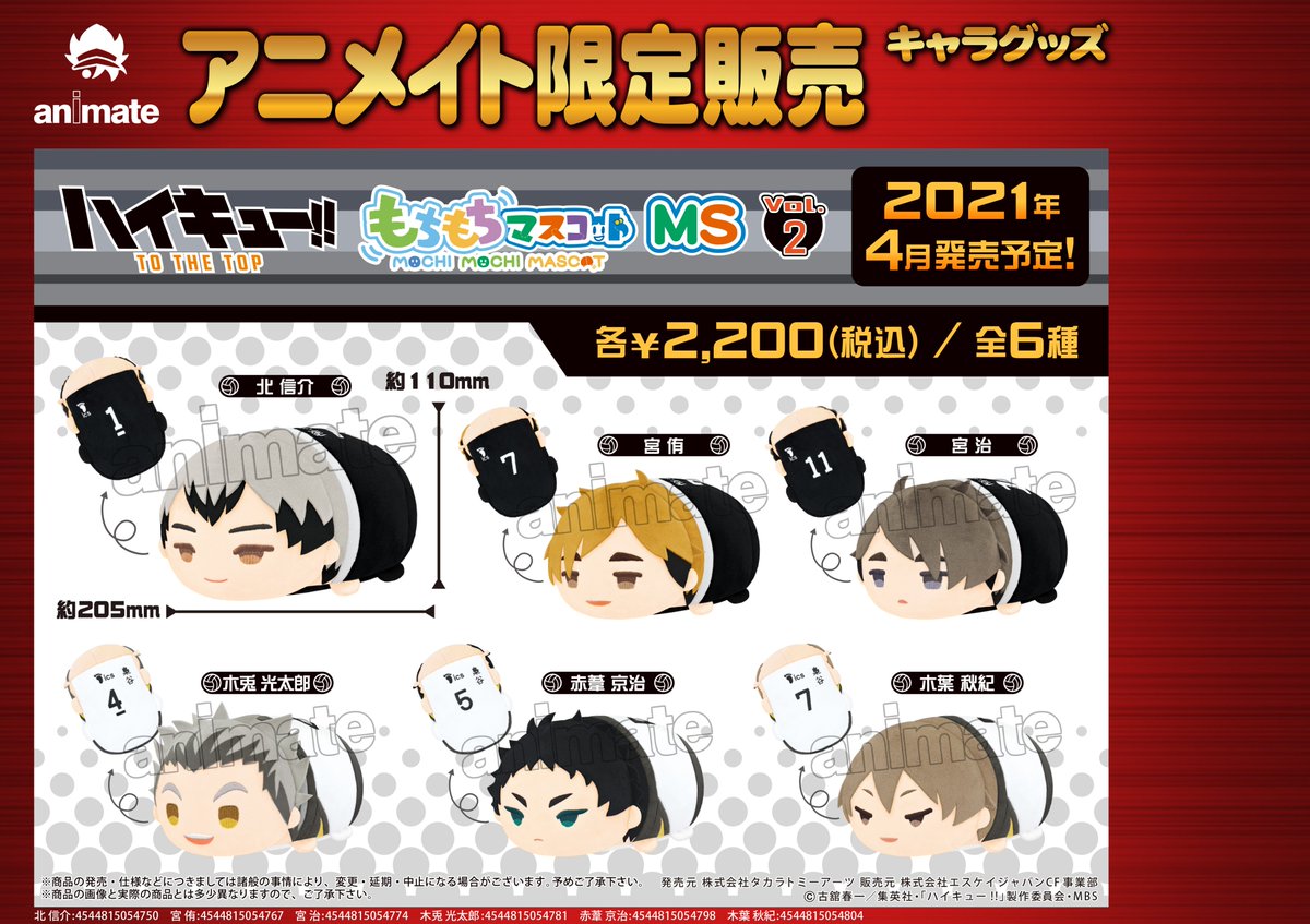 アニメイト札幌 グッズ予約情報 ハイキュー もちもちマスコットms 各種 店頭 アニメイトオンライン からご予約できるっポロ T Co Nwmnr9jmqi